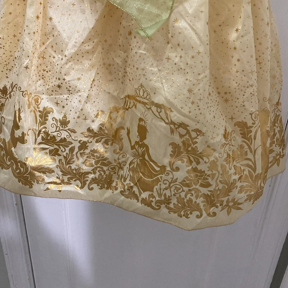 Disney Princess Tiana Costume Dress Up Gown Princess And The Frog Size 5/6